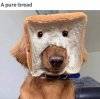 [Bonesmart.org] Tykey's second knee replacement