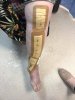 [Bonesmart.org] Millie's recovery thread