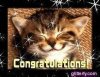 Congrat Cat.jpeg