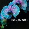 Friday the 13th Orchid.jpeg