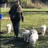 [Bonesmart.org] 8 months post TKR...looking back