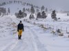 [Bonesmart.org] Getting back to hiking and climbing.