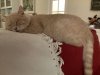 [Bonesmart.org] Lovablenut's Newbie Adventure