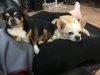 [Bonesmart.org] Bens THR recovery and accountability thread