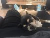 [Bonesmart.org] Bens THR recovery and accountability thread