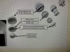 [Bonesmart.org] Life After SCaprae