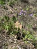 [Bonesmart.org] A hiker's new knees