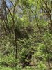 [Bonesmart.org] A hiker's new knees