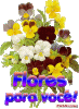 z-flores4.gif