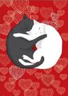valentine cats 5.jpg