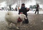 [Bonesmart.org] Bj Mac's Recovery