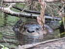 [Bonesmart.org] Sissie's recovery