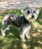 [Bonesmart.org] Birdwatcher's recovery thread