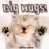 Hugs Cat.jpeg