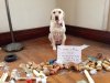 [Bonesmart.org] problem