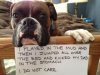 [Bonesmart.org] problem
