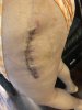[Bonesmart.org] Finally On The Recovery Side