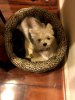 [Bonesmart.org] Finally On The Recovery Side