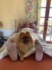 [Bonesmart.org] Bilateral THR Recovery Begins