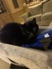 [Bonesmart.org] Kate97497’s post op