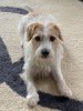 [Bonesmart.org] Recovery Progress Stalled