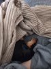 [Bonesmart.org] Recovery Progress Stalled