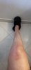 [Bonesmart.org] Knee Scars - Post Your Badges of Honor Here! NO CHIT-CHAT please