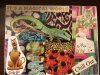 [Bonesmart.org] Rubyroo TKR #2