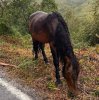[Bonesmart.org] 2nd knee, 2nd recovery