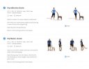 [Bonesmart.org] Equestrian's recovery with Ehlers Danlos
