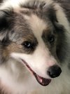 [Bonesmart.org] My TKR Was Worth It!