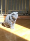 [Bonesmart.org] Susie-Q's 2nd TKR Recovery Thread