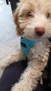 [Bonesmart.org] Diary of my journey to happy times