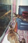 [Bonesmart.org] Merrimay's on the other side now THR