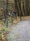 [Bonesmart.org] Woodstockhip’s Recovery Thread