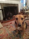 [Bonesmart.org] Merrimay's on the other side now THR