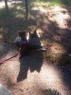 IMG_20210923_165424.jpg