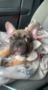 [Bonesmart.org] Diary of my journey to happy times