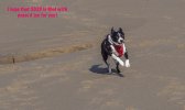 [Bonesmart.org] Pams Mar 16, 2020 bilateral TKR