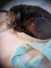 [Bonesmart.org] Recovery #2