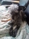 [Bonesmart.org] Recovery #2