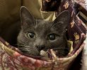 [Bonesmart.org] Recovery Journey Continues