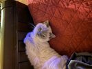 [Bonesmart.org] Finally On The Recovery Side