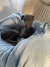[Bonesmart.org] 2nd knee, 2nd recovery