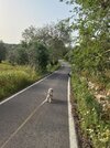 [Bonesmart.org] 2nd knee, 2nd recovery