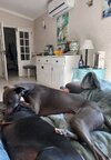 [Bonesmart.org] 2nd knee, 2nd recovery