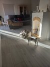 [Bonesmart.org] 2nd knee, 2nd recovery