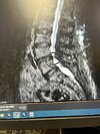 [Bonesmart.org] What did I get myself into?