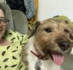 [Bonesmart.org] Two TKRs and a broken kneecap - on the mend now!