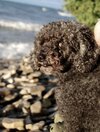 [Bonesmart.org] One Year Out